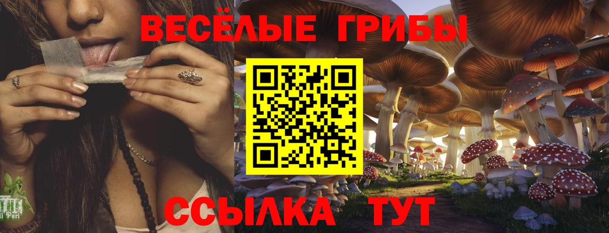 Галлюциногенные грибы мицелий  Псилоцибиновые грибы GOLDEN TEACHER  хочу   Шахты  Вход с VPN 