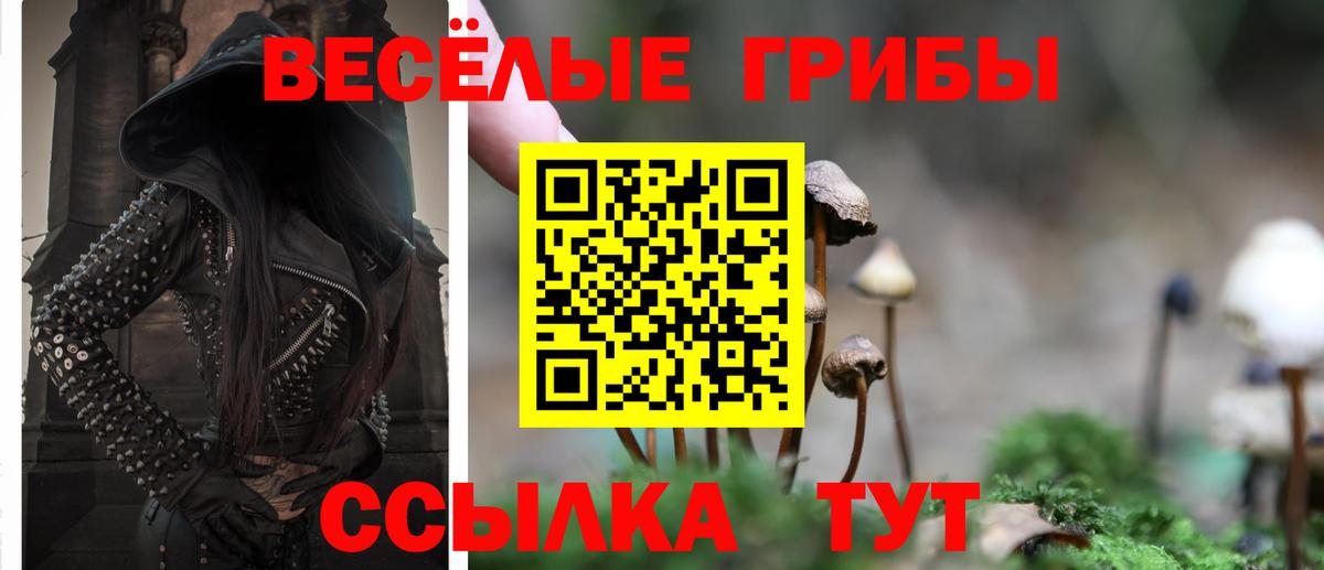 Галлюциногенные грибы Cubensis Шахты